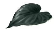 hoja